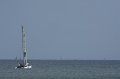 IMG_5141.CR2