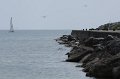 IMG_5143.CR2