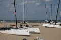 IMG_6203