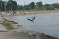 IMG_6346