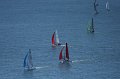 IMG_7037.CR2