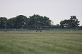 IMG_7129.CR2