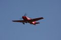 IMG_7825.CR2