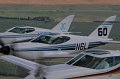 IMG_1884.CR2