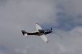 IMG_9558.CR2