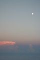 IMG_4878