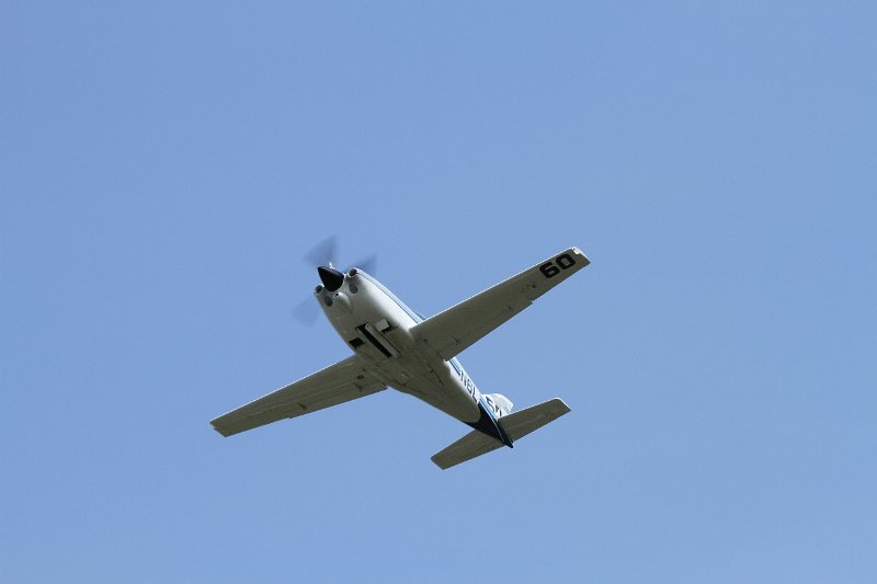 IMG_1596.CR2.jpg
