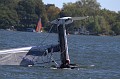 IMG_1872_7D