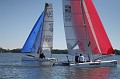 IMG_8479_20D